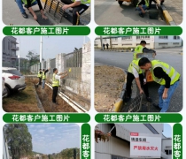 蛇患知識培訓(xùn)