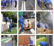 蛇患知識培訓(xùn)
